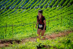 BIB: 2985
                            <button type="button" onclick="openModal(19162635)" class="btn btn-primary btn-sm float-right btn-popup" data-toggle="modal" data-target=".modal-high-quality">
                        <i class="fas fa-shopping-cart"></i> Add to Cart
                    </button>
                                            <button type="button" onclick="isThisMe(19162635, true)" class="btn btn-success btn-sm float-right btn-popup btn-isme hidden" data-toggle="tooltip" data-placement="bottom" title="นี่คือรูปของคุณใช่ไหม คลิกที่นี่เพื่อเอาเข้าอัลบั้ม">
                        <i class="fas fa-plus"></i> Add to album
                    </button>
                    <button type="button" onclick="isThisMe(19162635, false)" class="btn btn-warning btn-sm float-right btn-popup btn-isnotme hidden">
                        <i class="fas fa-ban"></i> Remove from album
                    </button>